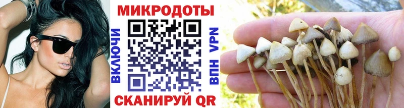 Псилоцибиновые грибы Magic Shrooms как найти Ипатово